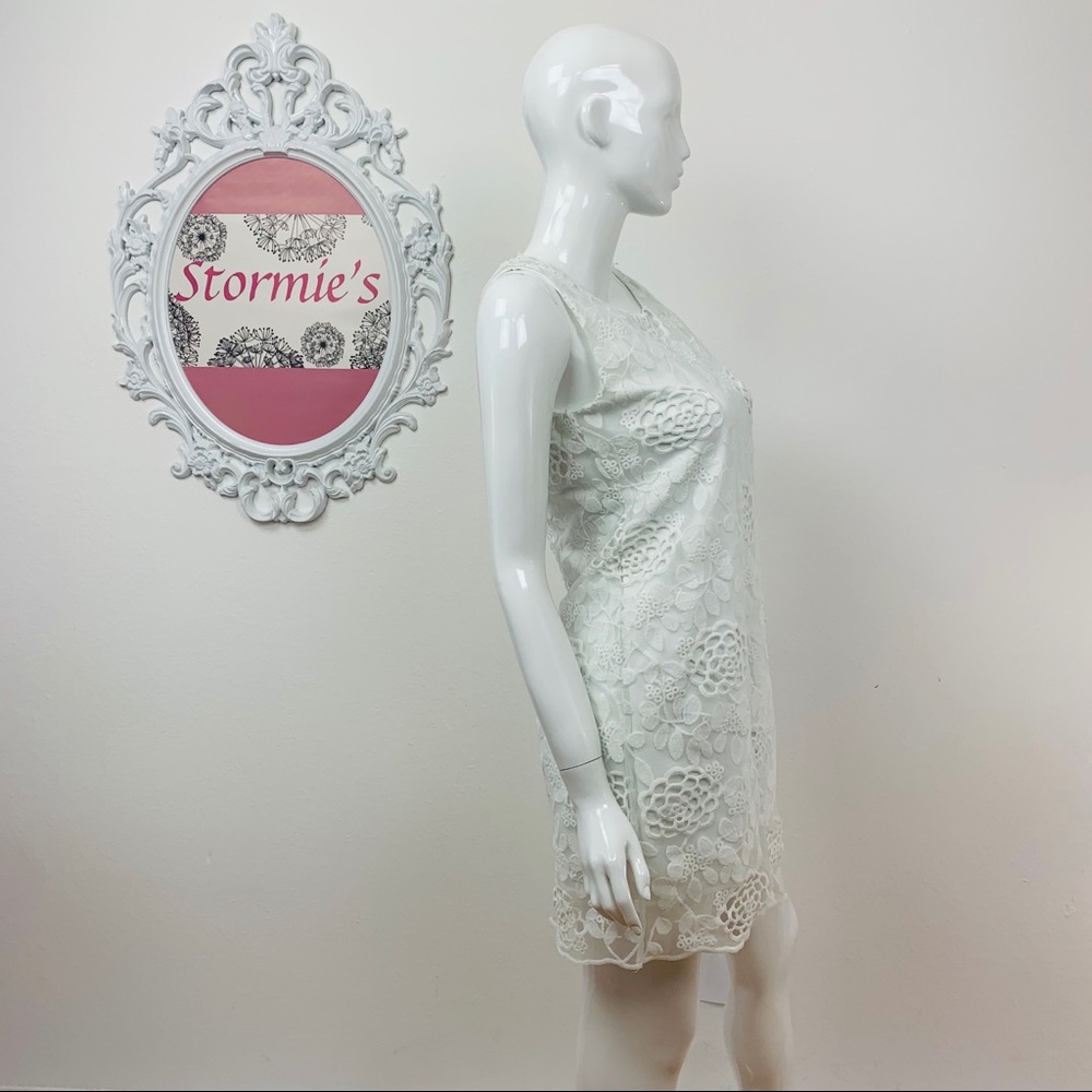 Francesca’s ALYA / Embroidered White Dress - Picture 4 of 8